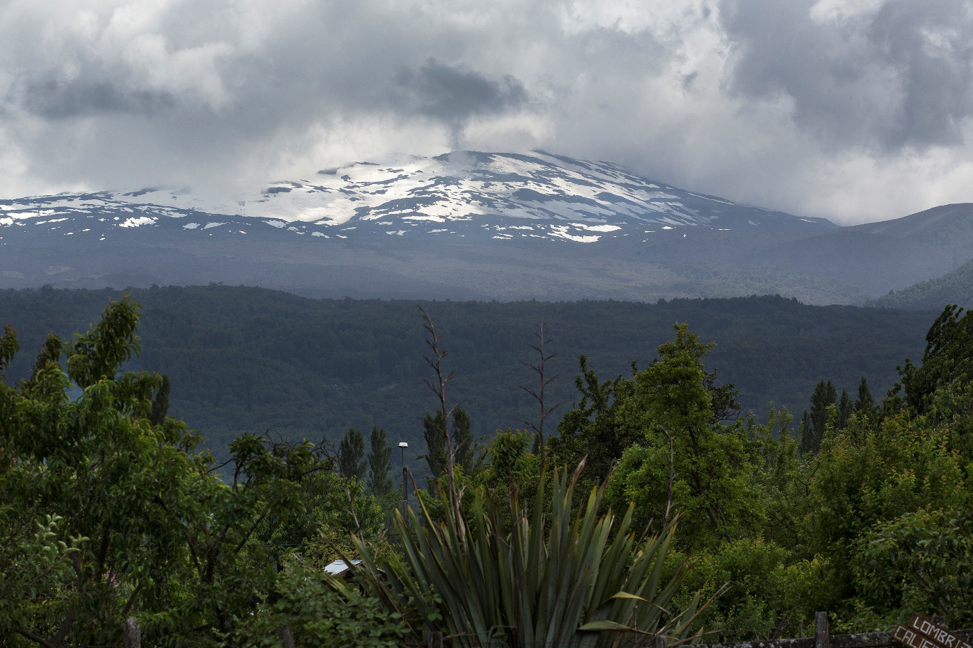 Chilenischer Nationalpark Conguillio mit dem Vulkan Llaima. Foto: Adveniat/Jürgen Escher