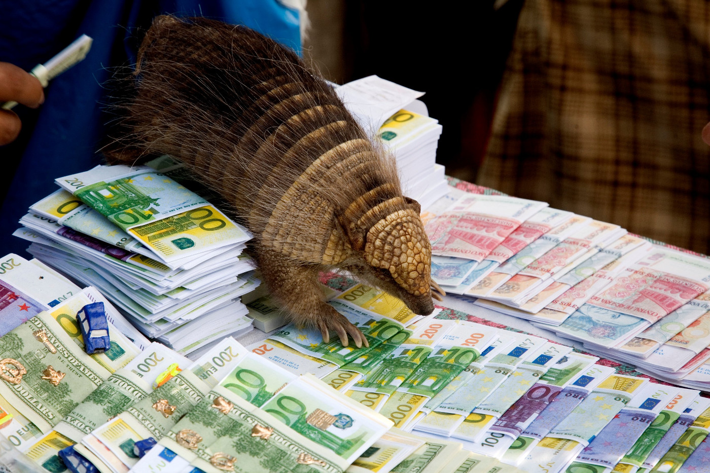 Unechtes Papiergeld und ein ausgestopftes Gürteltier als Glücksbringer an einem Markstand in Perus Hauptstadt Lima. Foto (Symbolbild): Adveniat/Martin Steffen