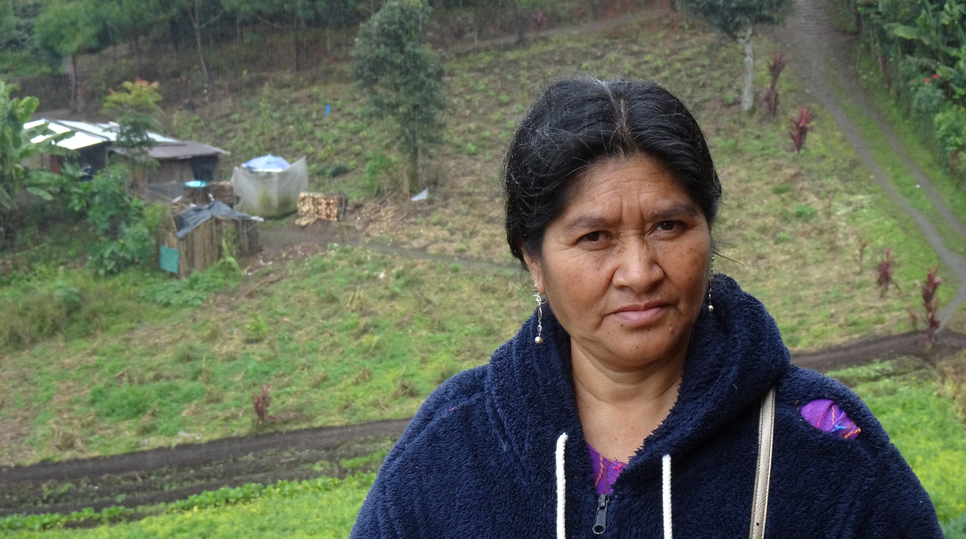 Die indigene Aktivistin Sofia Tot Ac vor einem der Grundstücke, um das sich die Maya-Gemeinde und guatemaltekische Großgrundbesitzer streiten. Foto: Andreas Boueke