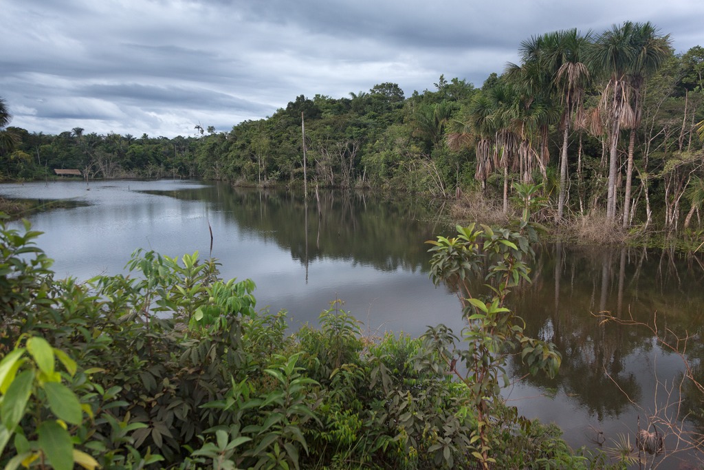 Amazonas, Brasilien