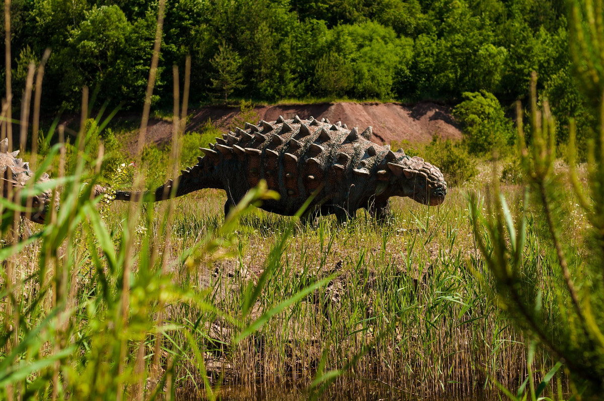 Die in Chile neu entdeckte Dinosaurierart gehört zur Gruppe der Ankylosaurier. Foto: pixabay, CCO1.0