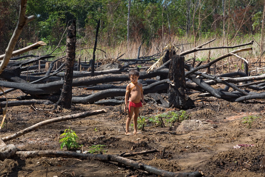 Indigene, Brasilien, Ausbeutung