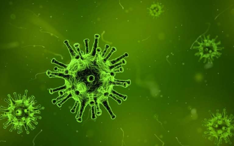 Modell eines Coronavirus. Foto: Flickr, CCO 1.0